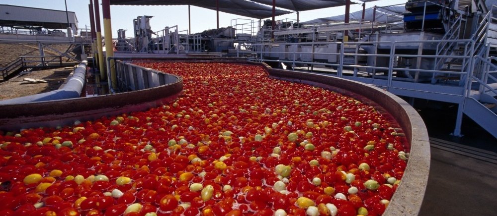 Processing Plants