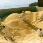 FUMIGATION & PEST MANAGEMENT